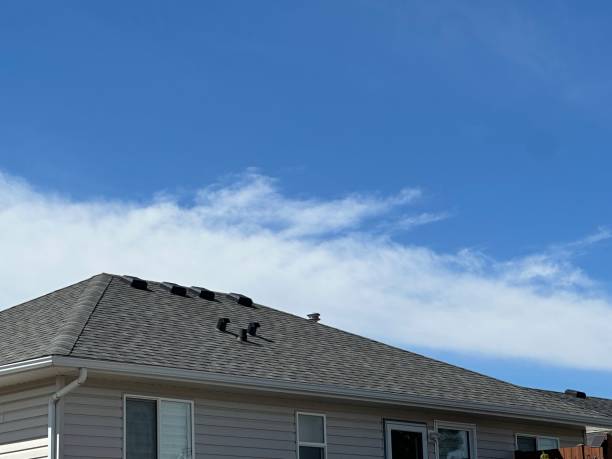 Best Roof Ventilation Installation  in New Cumberland, WV